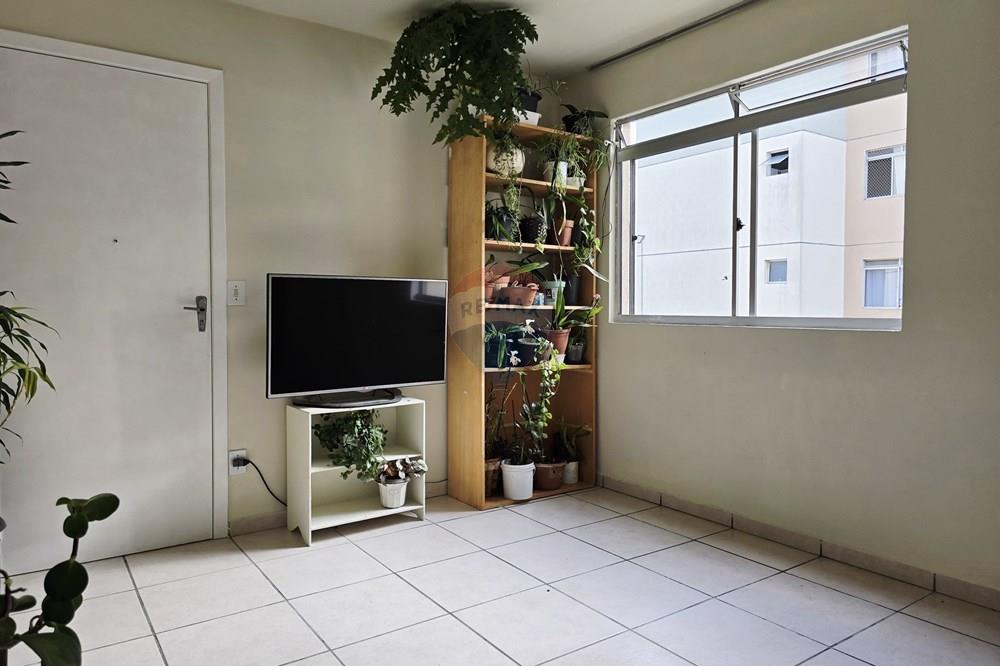 Apartamento - Venda - São José dos Pinhais , Paraná - IMG-20250715-WA0074.jpg - 560411027-25