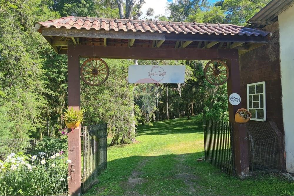 Casa Comercial - Alugar - São José dos Pinhais , Paraná - ab3100de-e484-44a1-b46d-9eed3b300a81.jpeg - 560331128-18