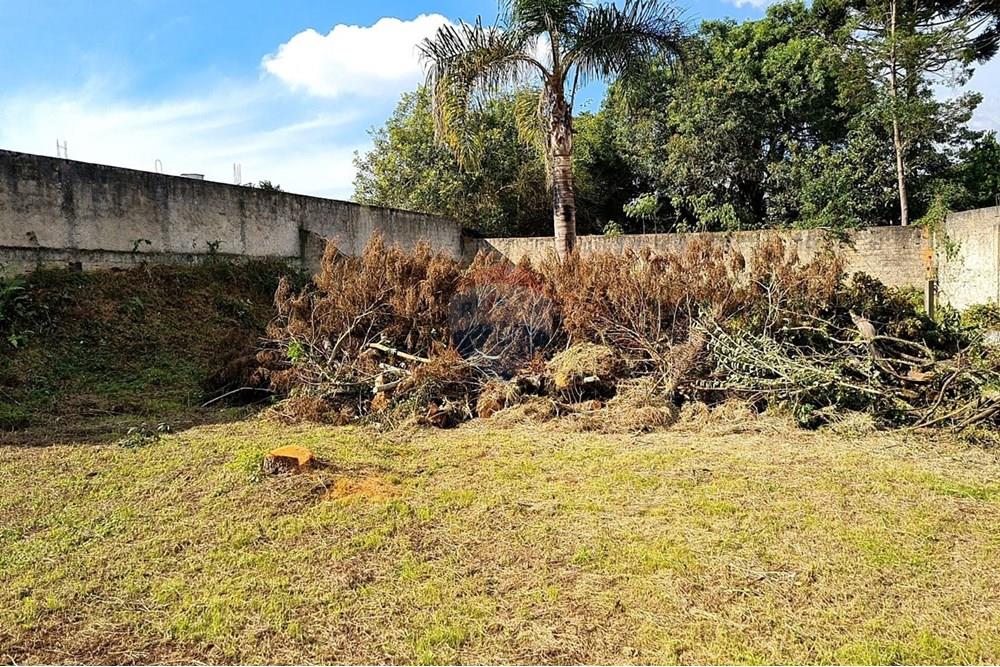 Terreno - Venda - São José dos Pinhais , Paraná - d4f835b1-2a34-4a1e-ab37-094eb9003c86.jpeg - 560391051-19