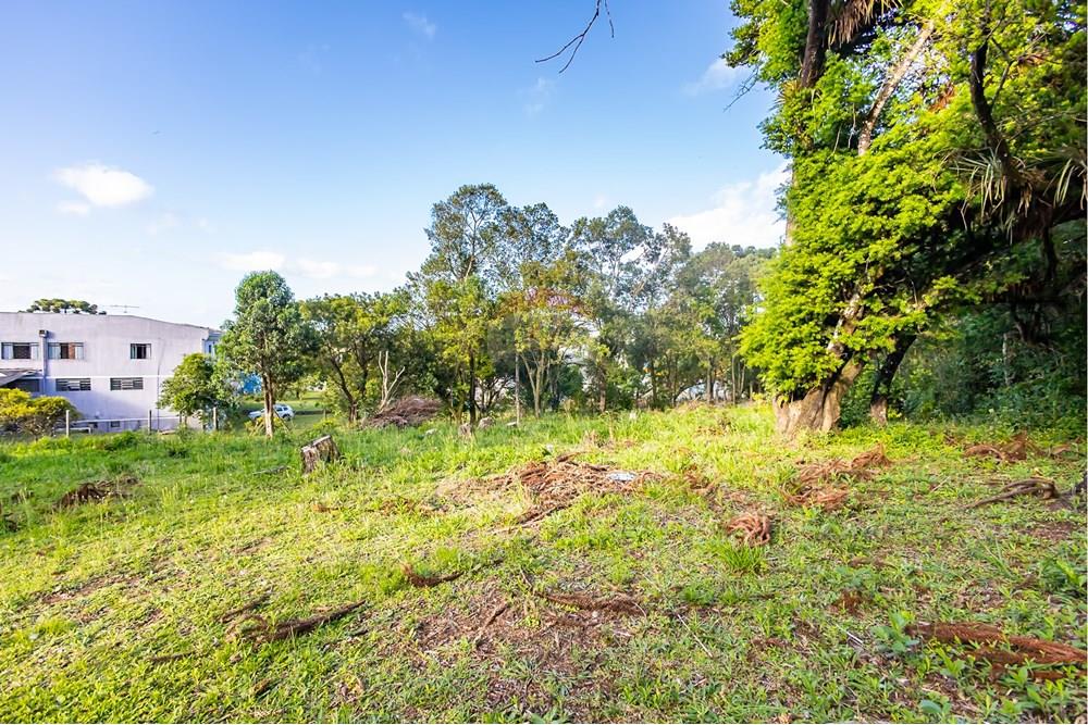 Terreno - Venda - Colombo , Paraná - IMG_9315.jpg - 560321090-43