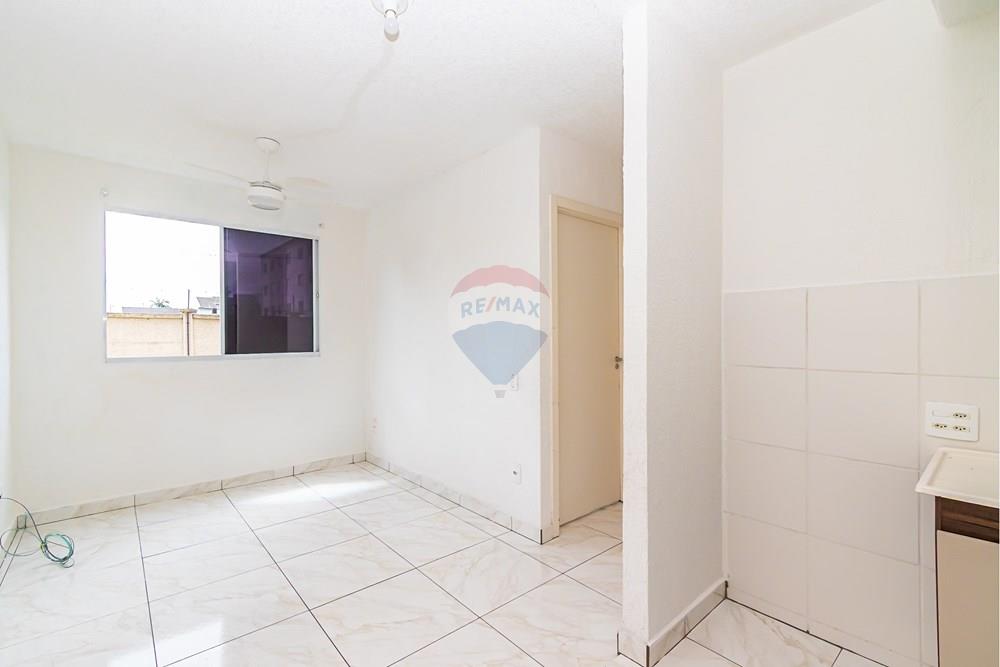 Apartamento - Venda - São José dos Pinhais , Paraná - Sheep - IMG_7244.jpg - 560411078-6