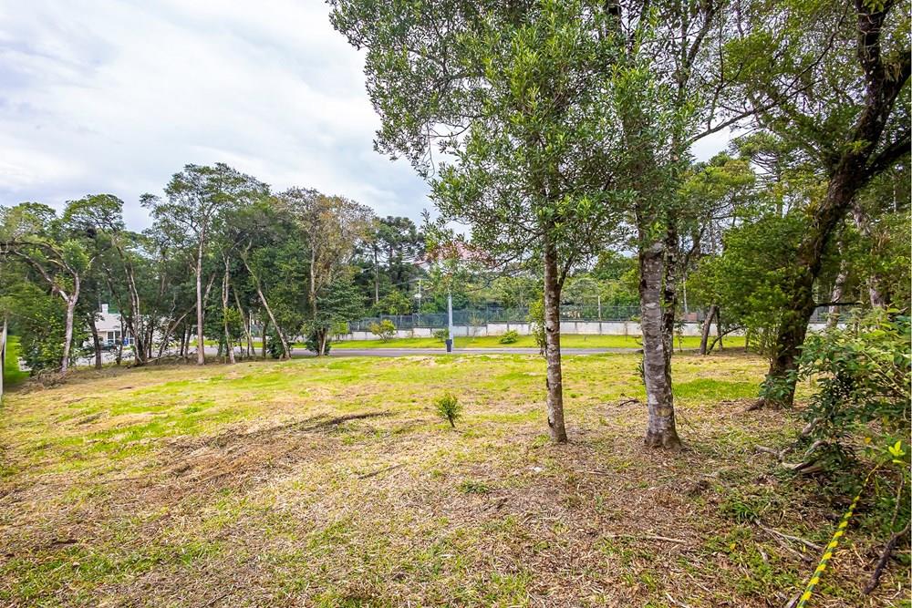 Terreno - Venda - Curitiba , Paraná - SHEEP - IMG_2554_1.jpg - 560341101-20