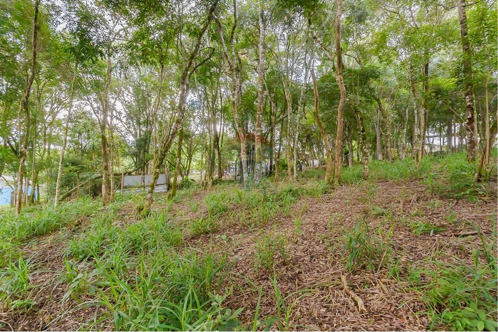 Terreno - Venda - Colombo , Paraná - _MG_7343.jpg - 560391062-13