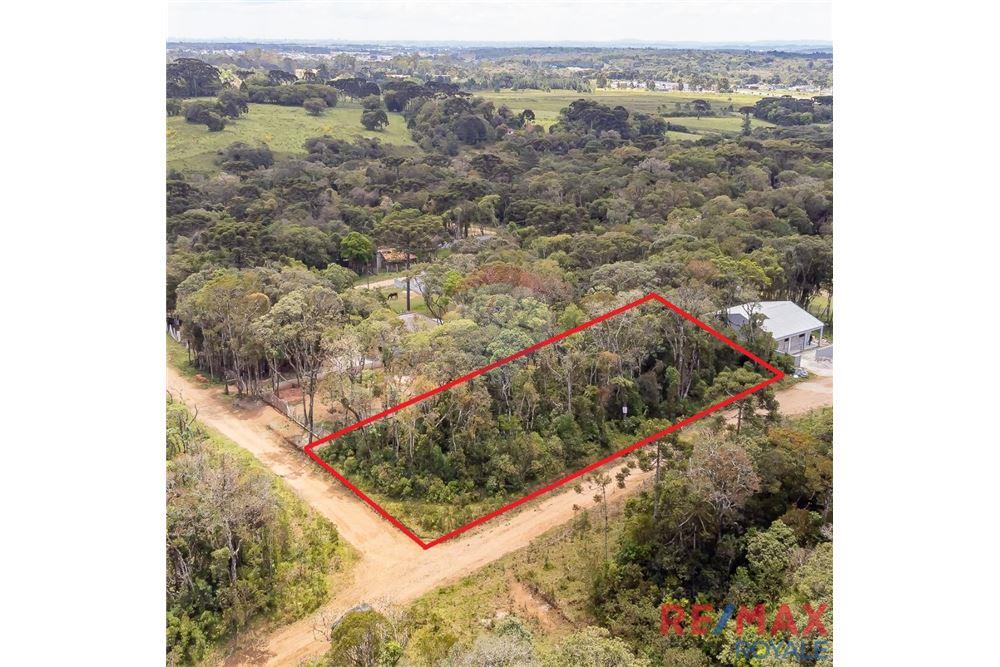 Terreno - Venda - São José dos Pinhais , Paraná - 1 - 560251029-43