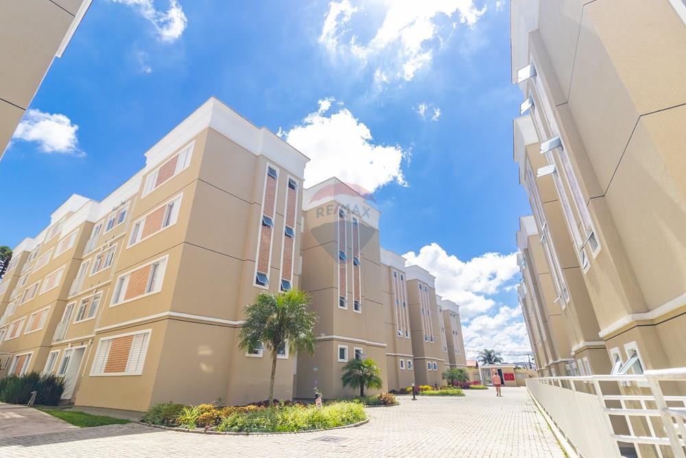 Apartamento - Alugar - Curitiba , Paraná - IMG_7853.jpg - 560331069-90