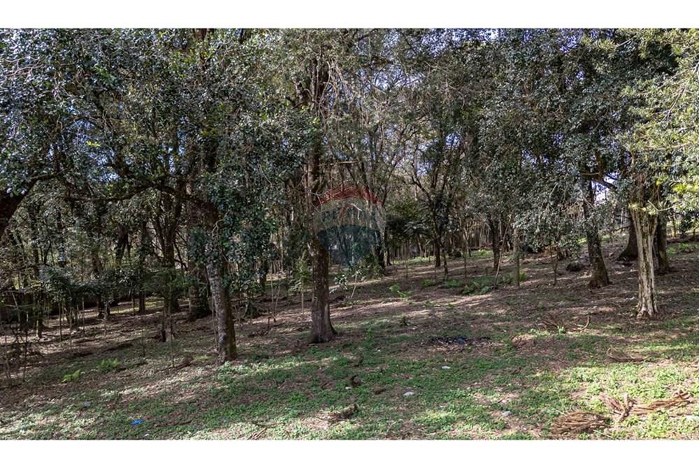 Terreno - Venda - Colombo , Paraná - DJI_20240807102536_0156_D.jpg - 560461009-63