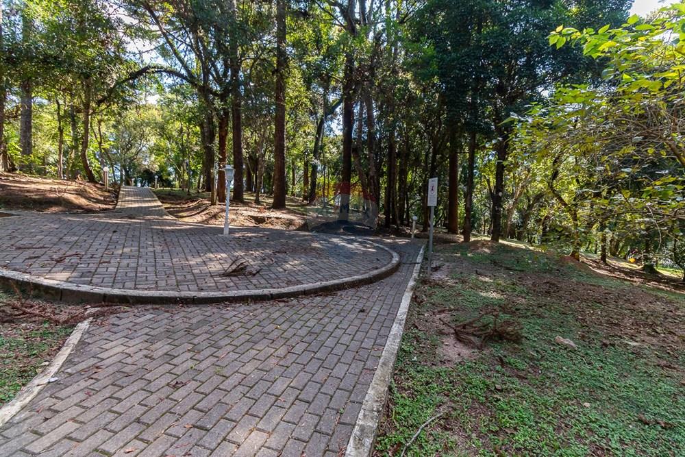 Apartamento - Venda - São José dos Pinhais , Paraná - IMG_1206.jpg - 560311077-14