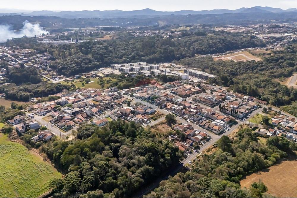 Terreno - Venda - Campo Largo , Paraná - DJI_20250801142540_0038_D_1.jpg - 560471005-5
