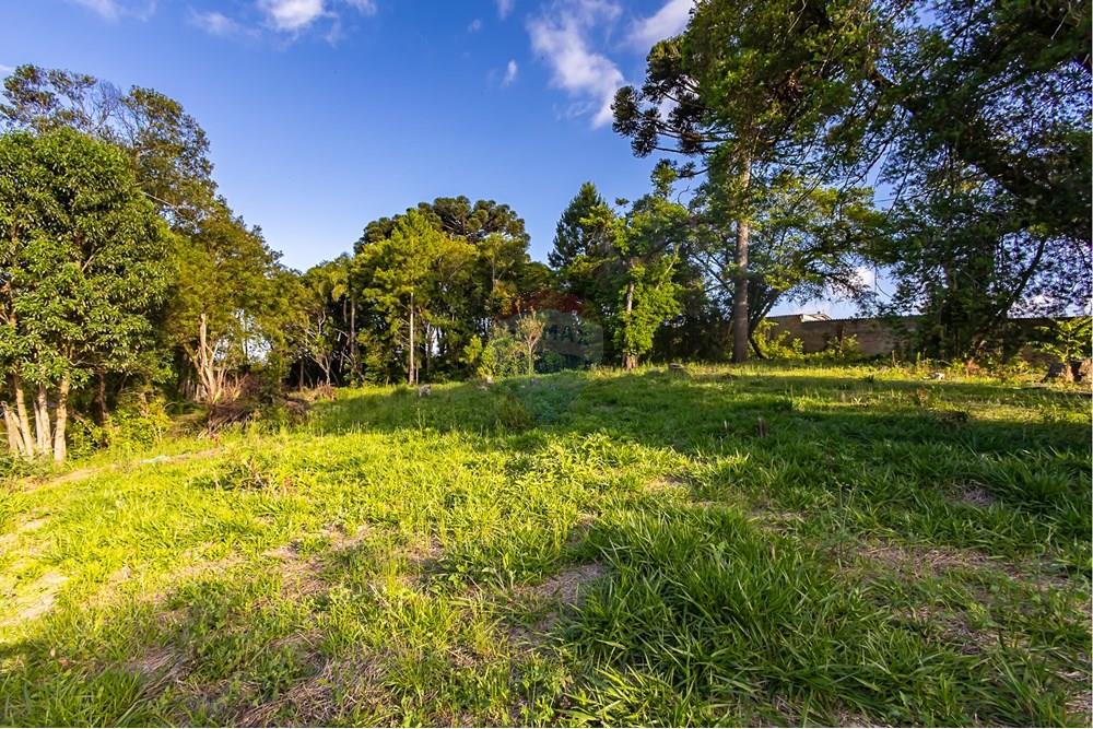 Terreno - Venda - Colombo , Paraná - IMG_9318.jpg - 560321090-43