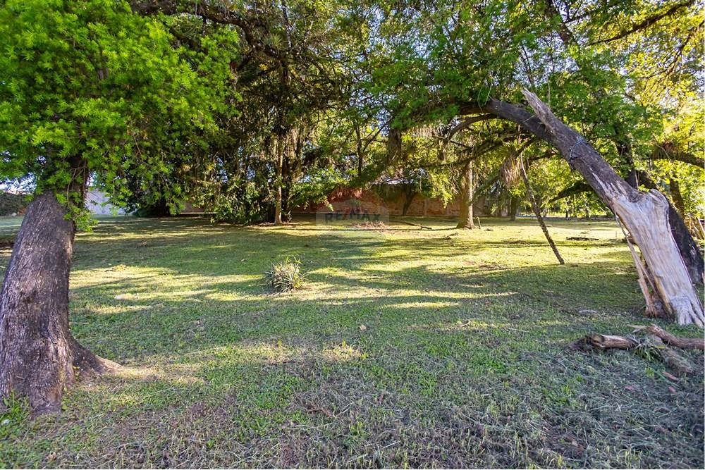 Terreno - Venda - Colombo , Paraná - IMG_9250.jpg - 560321090-43