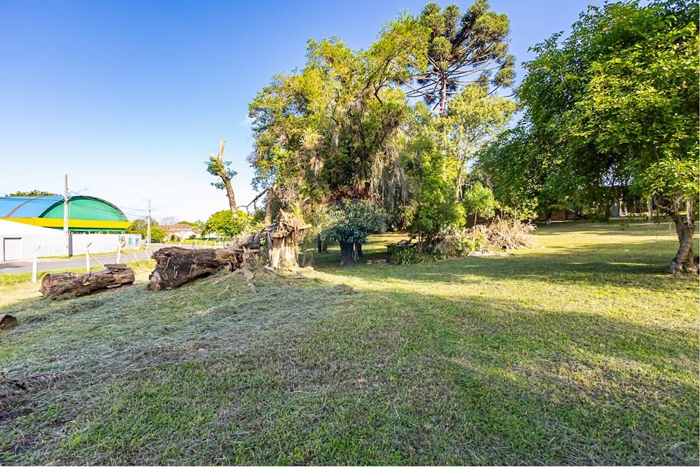 Terreno - Venda - Colombo , Paraná - IMG_9254.jpg - 560321090-43