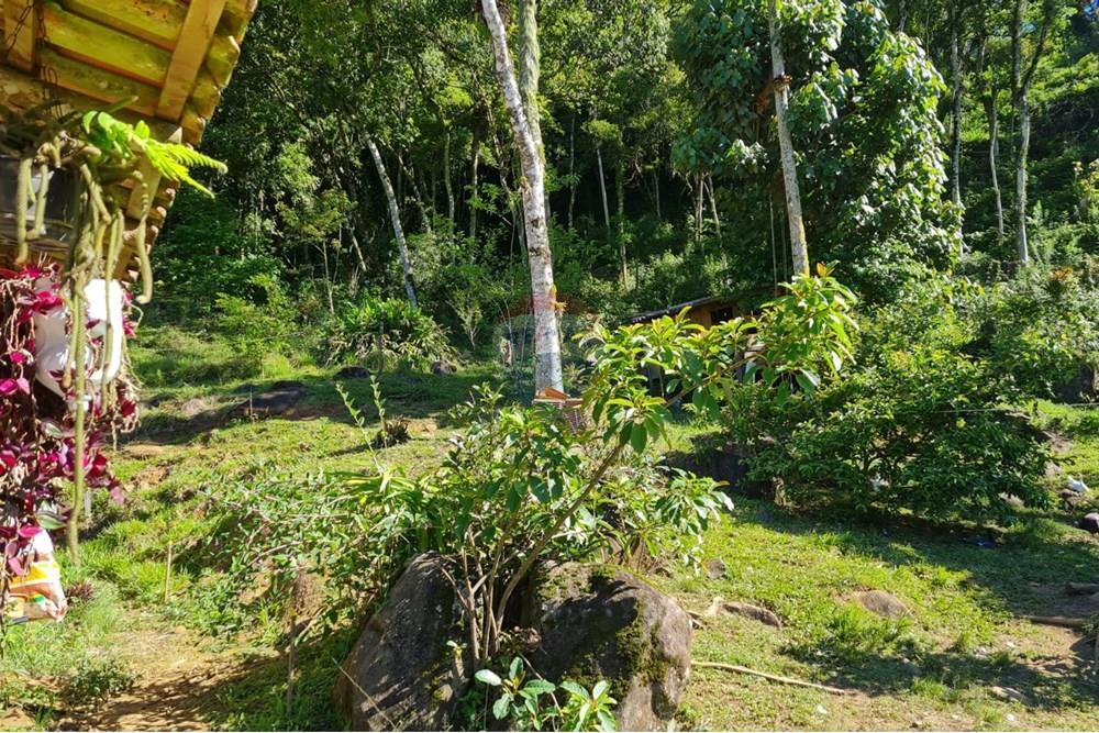 Chácara / Sítio / Fazenda - Venda - Tijucas do Sul , Paraná - cda69a34-fffc-4641-9002-1e8591b04608.jpeg - 560391051-20