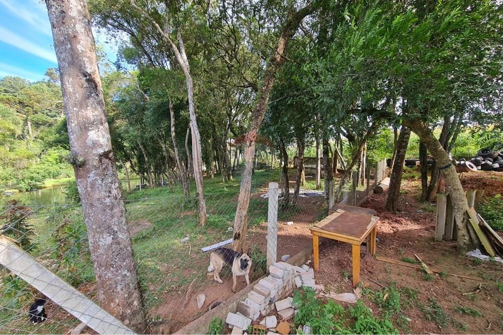 Galpão - Venda - São José dos Pinhais , Paraná - fe7b3800-f1a8-4aa2-8967-4ea74a4f61a9.jpeg - 560331128-20