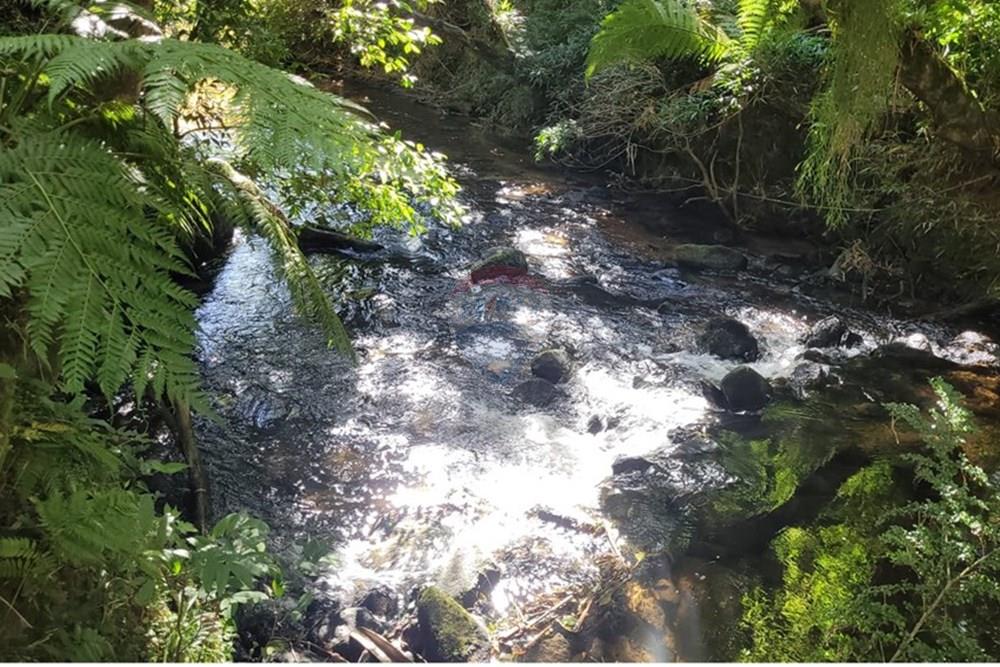 Chácara / Sítio / Fazenda - Venda - São José dos Pinhais , Paraná - 9.jpeg - 560331080-8