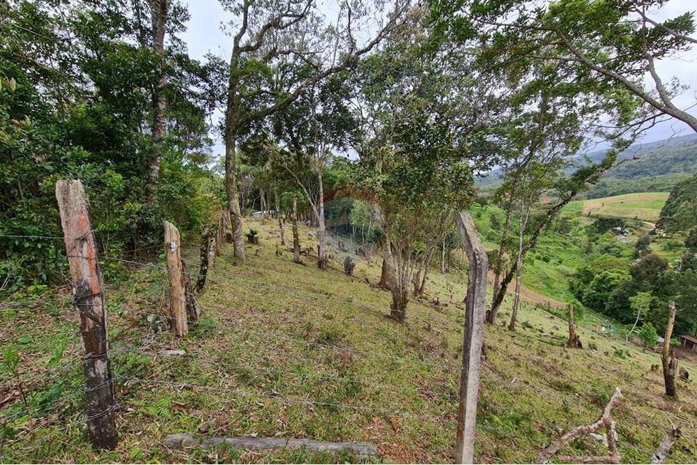 Chácara / Sítio / Fazenda - Venda - Tijucas do Sul , Paraná - 59a386ea-6b22-4971-b064-486578ce829f.jpeg - 560391051-16