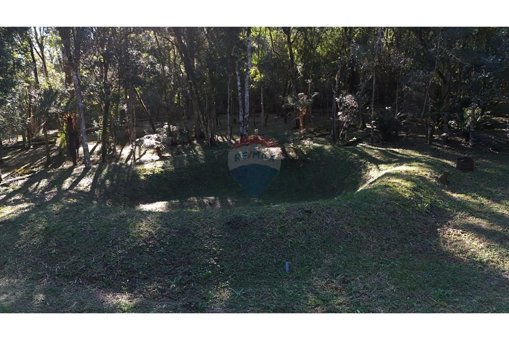 Chácara / Sítio / Fazenda - Venda - São José dos Pinhais , Paraná - 4.JPG - 560411054-30