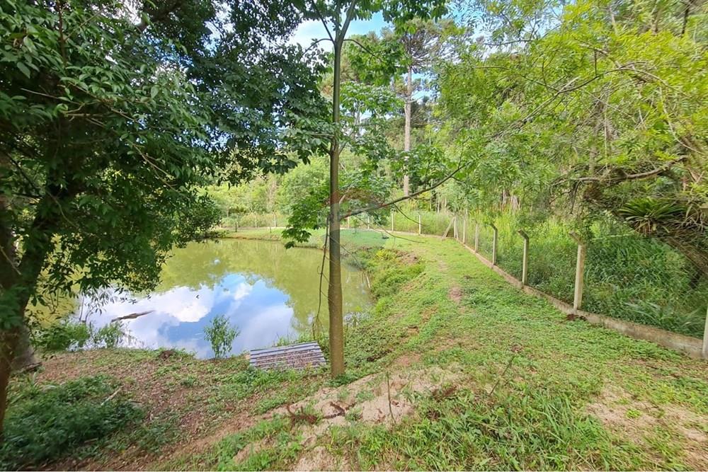 Galpão - Venda - São José dos Pinhais , Paraná - 24d79c1e-c3da-4efa-bae5-480f8b4cf8f4.jpeg - 560331128-20