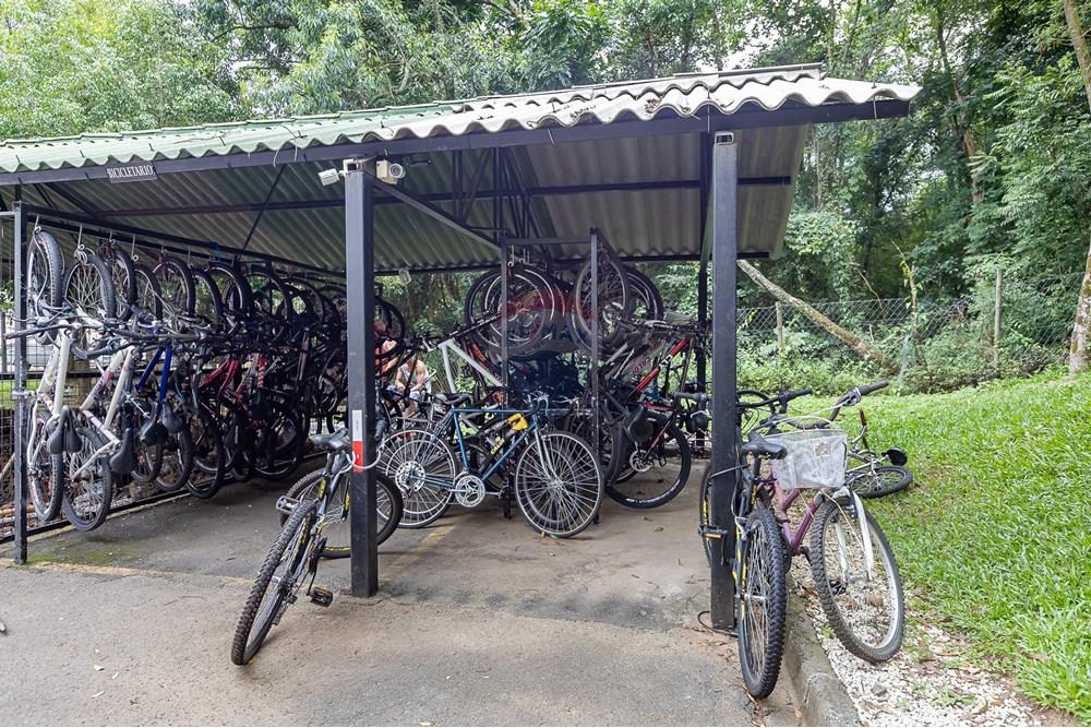 Apartamento - Alugar - Curitiba , Paraná - IMG_4680.jpg - 560311047-527