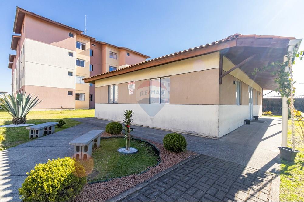 Apartamento - Venda - São José dos Pinhais , Paraná - IMG_3083_1.jpg - 560411055-29