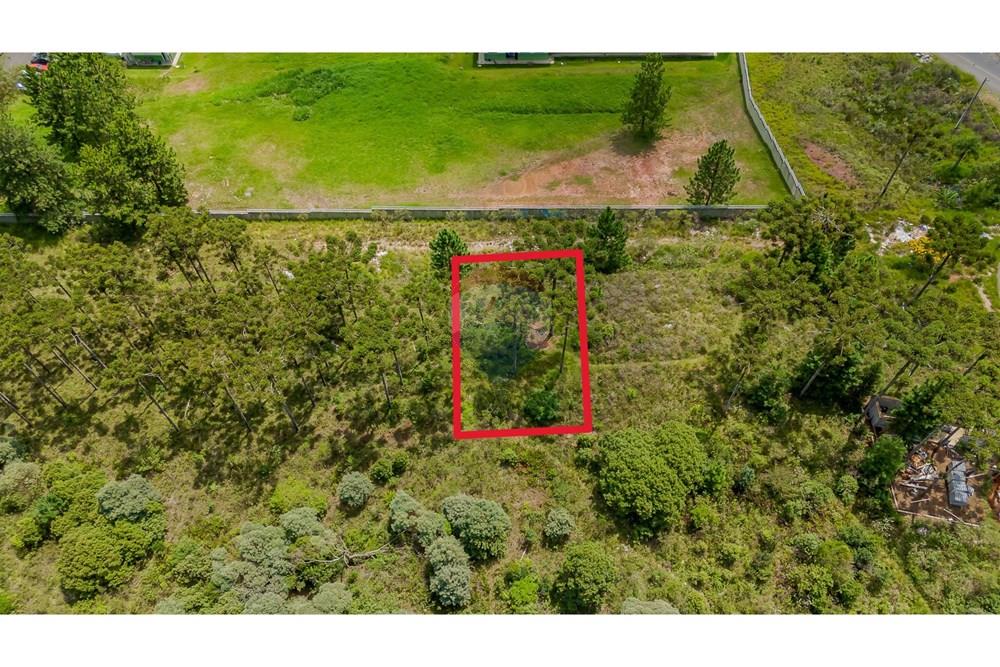 Terreno - Venda - São José dos Pinhais , Paraná - DJI_20250227132631_0557_D.jpg - 560351069-35