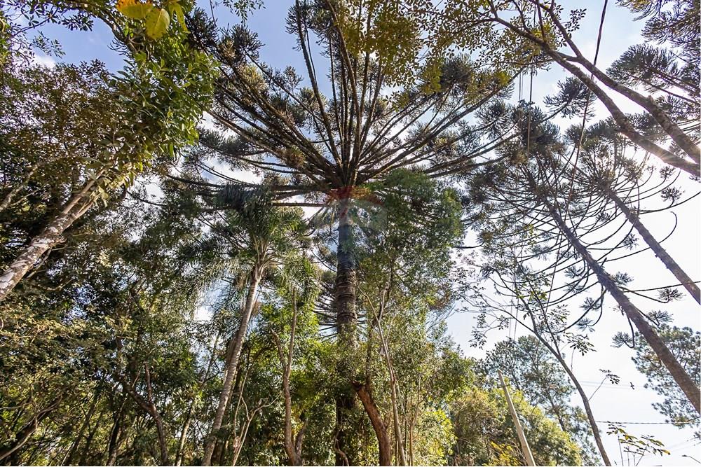 Casa de Condomínio - Venda - Curitiba , Paraná - IMG_6323.jpg - 560431033-13