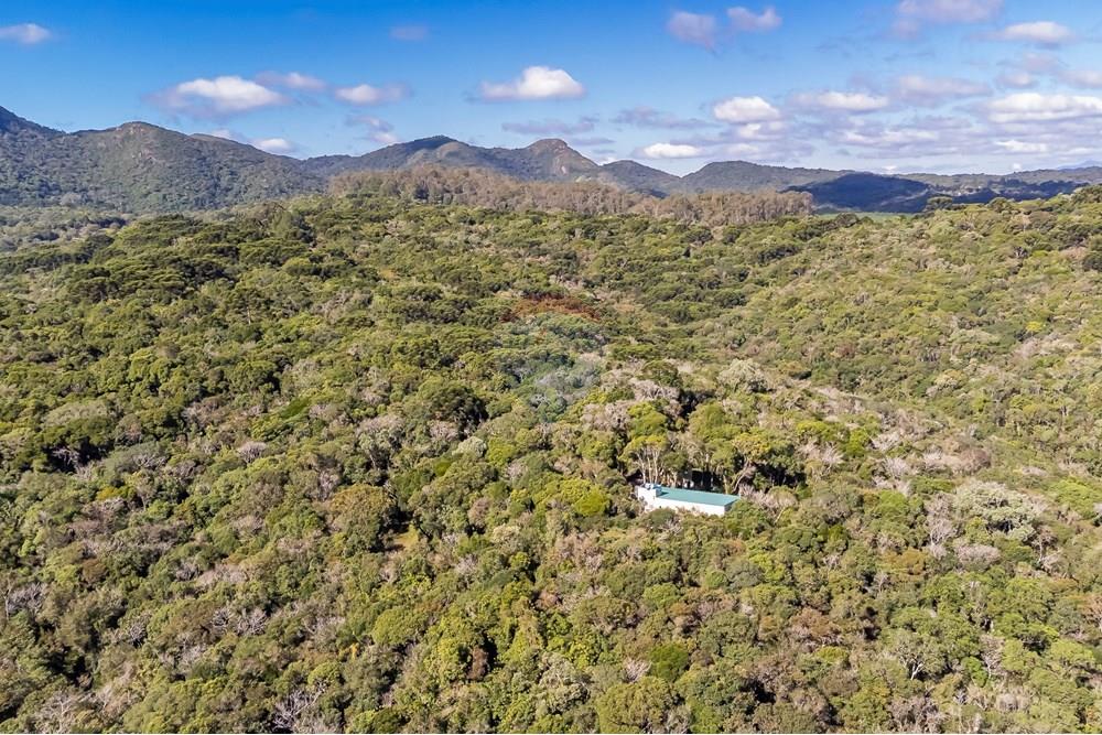 Chácara / Sítio / Fazenda - Venda - Piraquara , Paraná - DJI_0504_1.jpg - 560431012-39