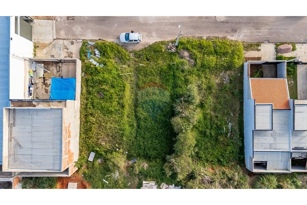 Terreno - Venda - Fazenda Rio Grande , Paraná - DJI_20250613164449_0083_D.jpg - 560341061-226