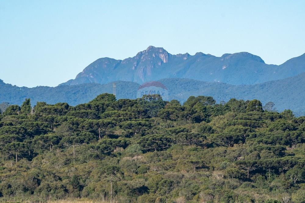 Terreno - Venda - Pinhais , Paraná - 0016- Vista do Conjunto Marumbi a partir do tereno - Zig Koch.jpg - 560511007-5