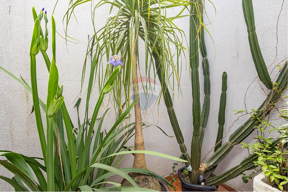 Sobrado - Venda - Curitiba , Paraná - IMG_3083.jpg - 560301032-29