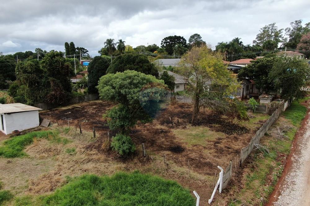 Terreno - Venda - Ponta Grossa , Paraná - 3.JPG - 560351178-5