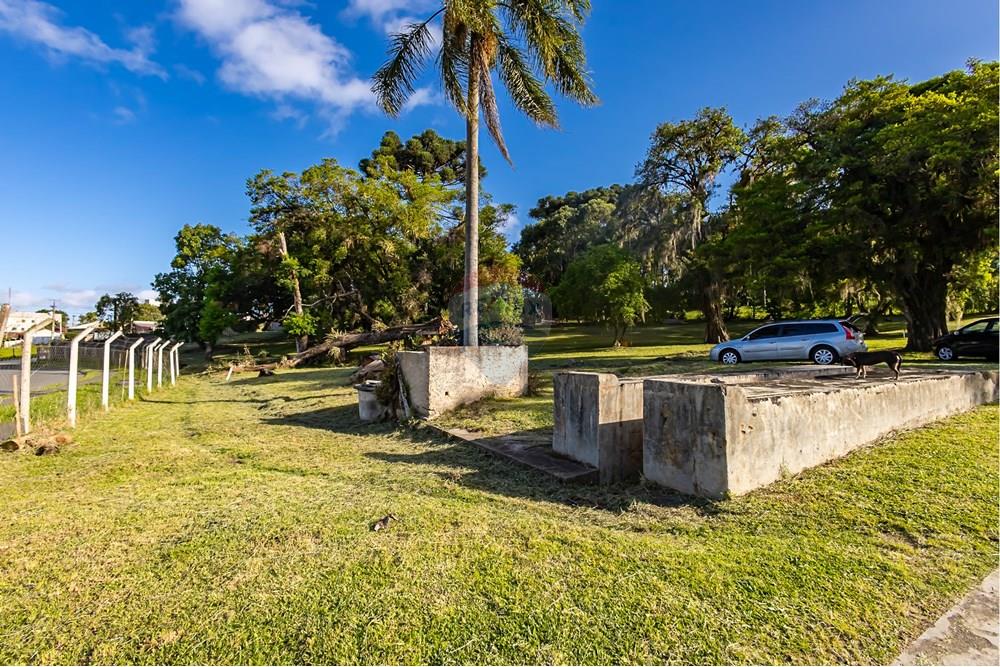 Terreno - Venda - Colombo , Paraná - IMG_9275.jpg - 560321090-43