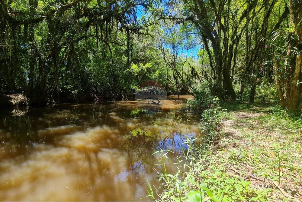 Chácara / Sítio / Fazenda - Venda - São José dos Pinhais , Paraná - cdc51ce3-5e51-455c-9067-5181aa2b23f5.jpeg - 560331128-24