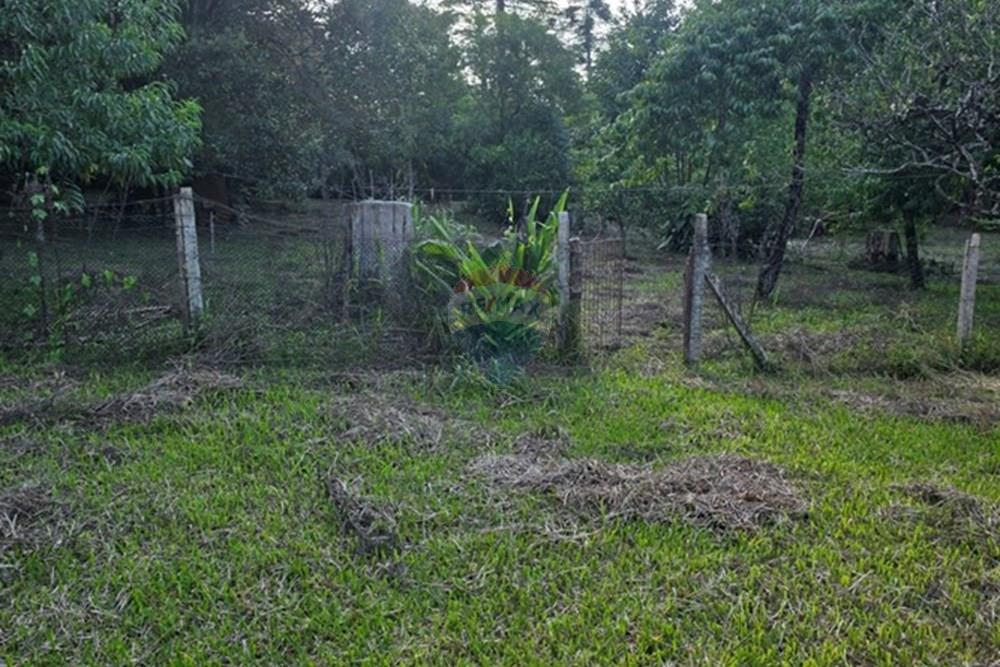 Terreno - Venda - Pinhais , Paraná - 20260206_174139.jpg - 560501001-19