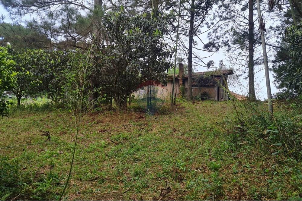 Chácara / Sítio / Fazenda - Venda - São José dos Pinhais , Paraná - c261f545-f407-40ec-afb6-261dc4f6a1ca.jpeg - 560331128-24