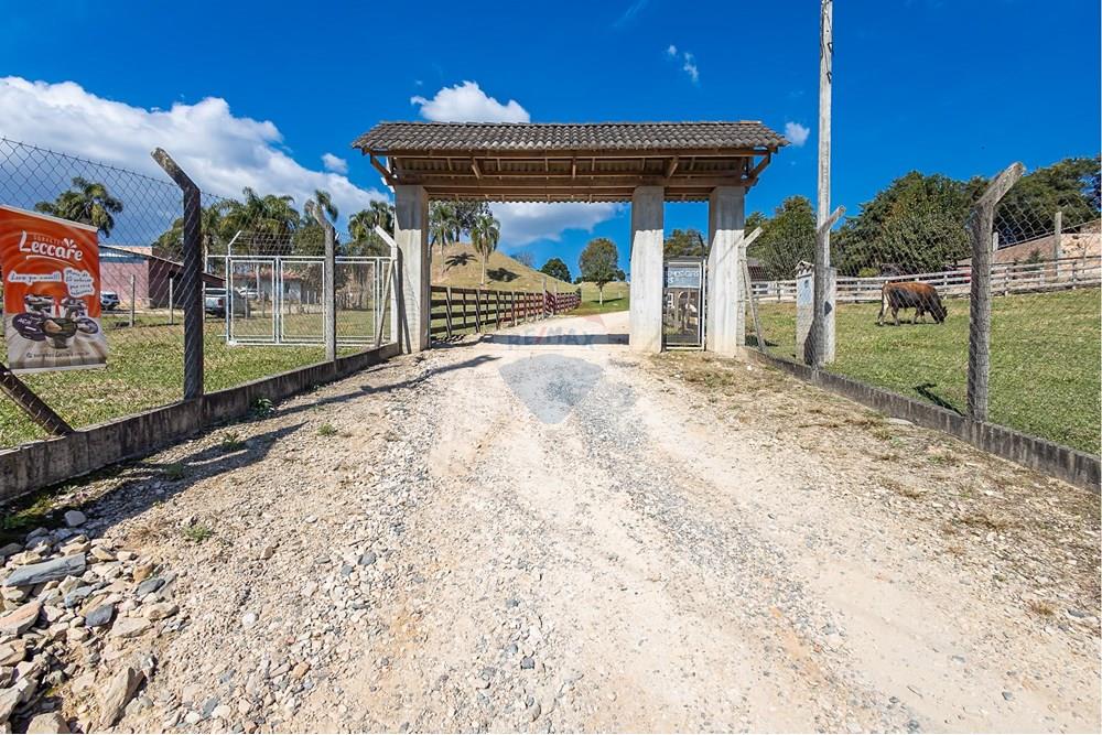 Chácara / Sítio / Fazenda - Venda - Campo Largo , Paraná - F (5).jpg - 560351150-1