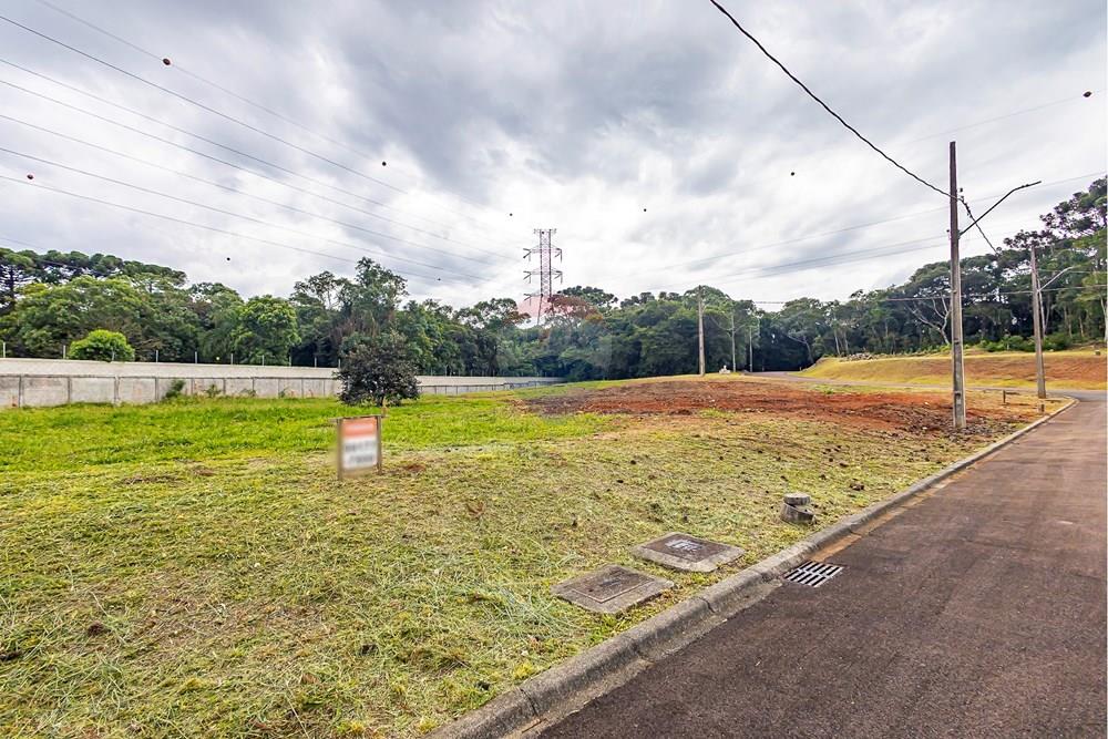 Terreno - Venda - Curitiba , Paraná - sheep - IMG_2574_1.jpg - 560341101-21