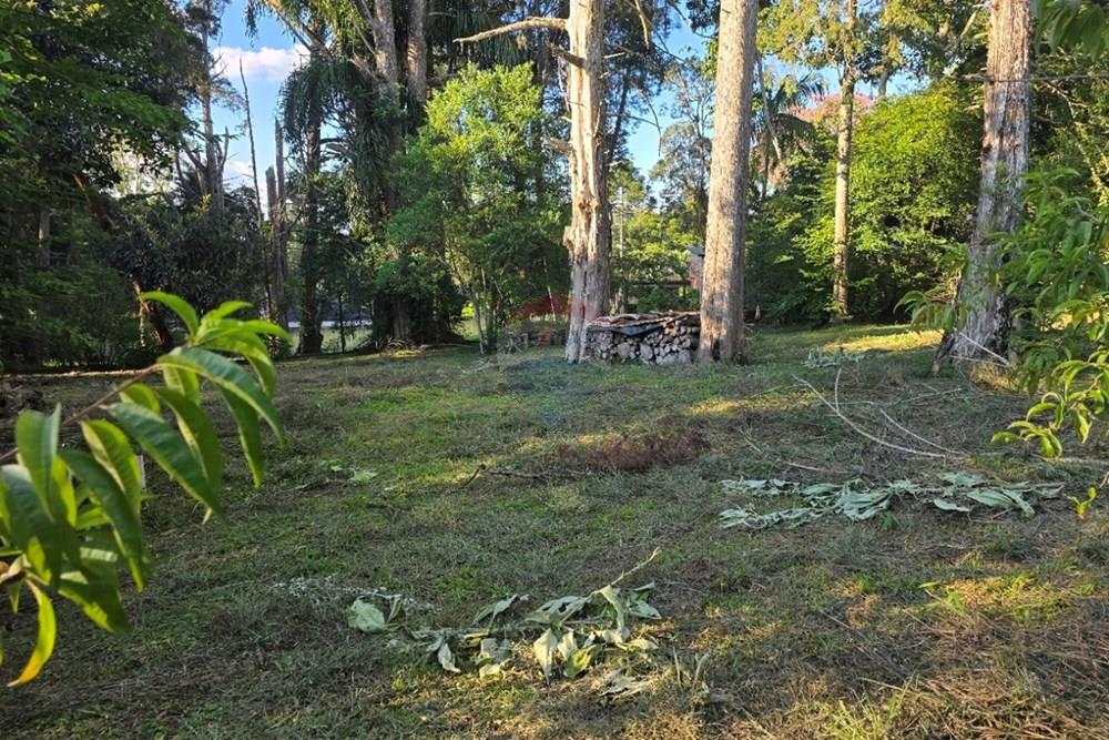 Terreno - Venda - Pinhais , Paraná - 20260206_174410.jpg - 560501001-19