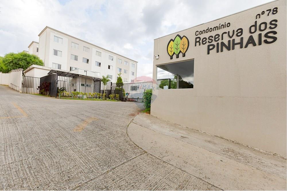 Apartamento - Venda - São José dos Pinhais , Paraná - IMG_2796.jpg - 560351119-12