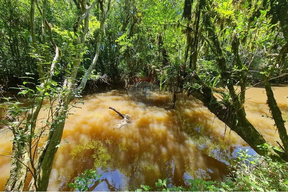 Chácara / Sítio / Fazenda - Venda - São José dos Pinhais , Paraná - ae518d99-5bb0-4457-997a-27696e2b2369.jpeg - 560331128-24