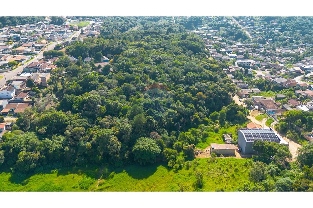 Terreno - Venda - Almirante Tamandaré , Paraná - DJI_0031.jpg - 560411008-76