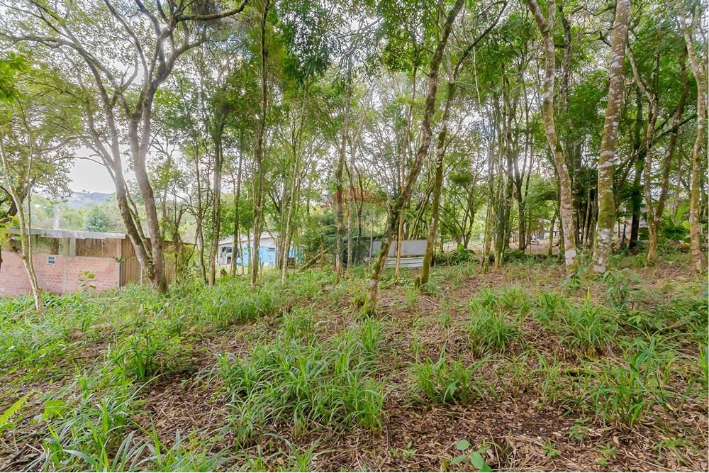 Terreno - Venda - Colombo , Paraná - _MG_7349.jpg - 560391062-13