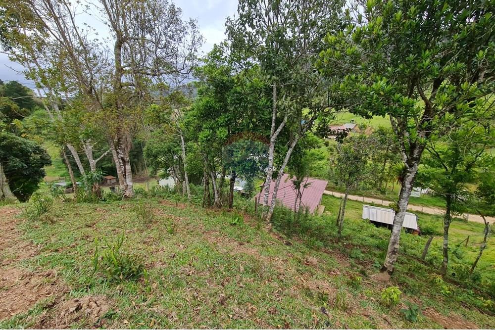 Chácara / Sítio / Fazenda - Venda - Tijucas do Sul , Paraná - 2fbb5a81-d87d-4756-b64a-ee0d99d8927d.jpeg - 560391051-16