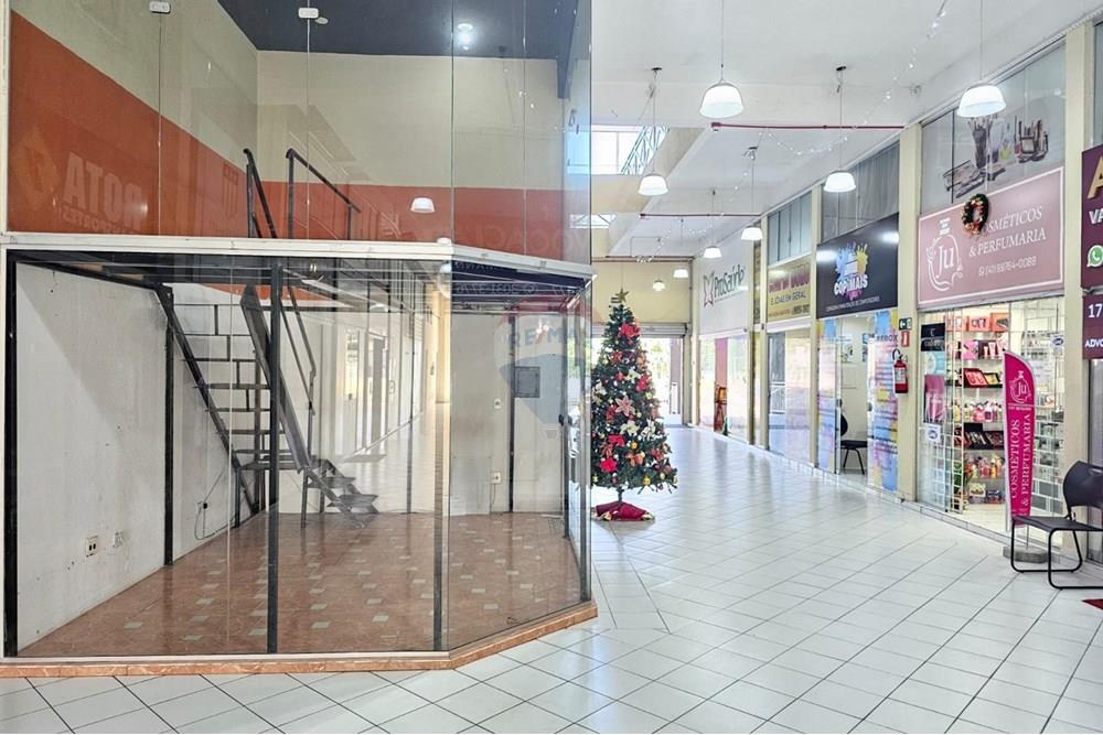 Loja - Venda - Araucária , Paraná - WhatsApp Image 2025-12-18 at 09.56.39.jpeg - 560491002-22