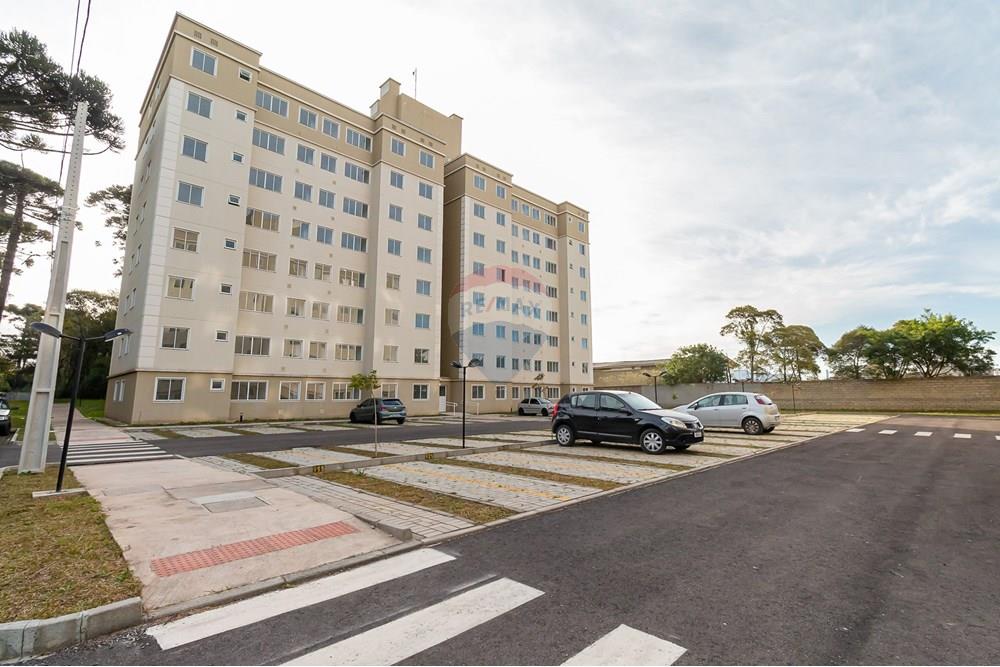 Apartamento - Venda - Pinhais , Paraná - 44.jpg - 560351107-11