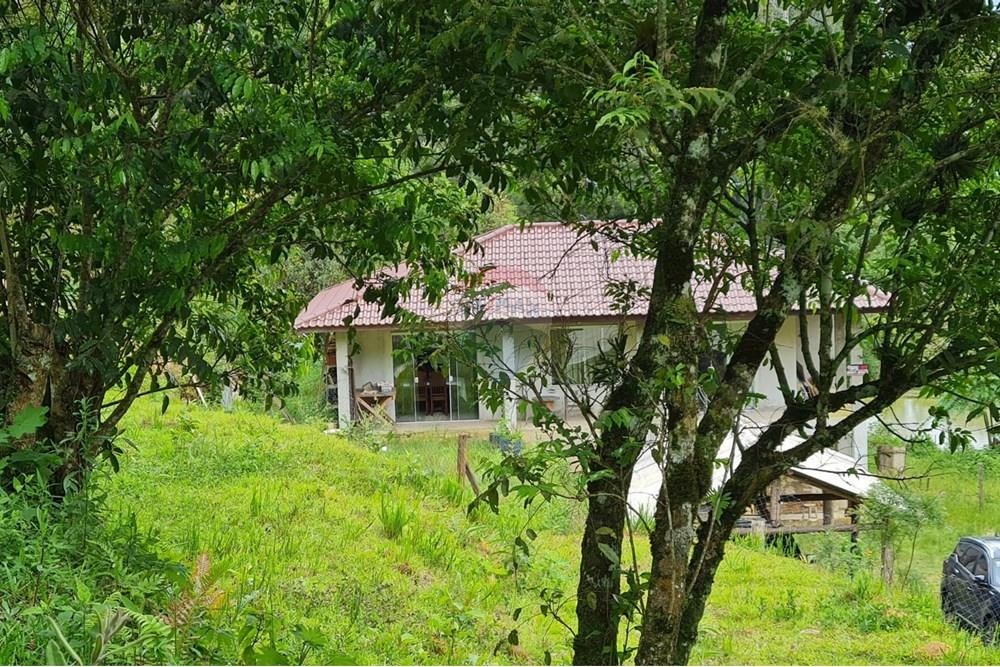 Chácara / Sítio / Fazenda - Venda - Tijucas do Sul , Paraná - ead259e1-4274-4965-916e-9b7e6840d09b.jpeg - 560391051-16