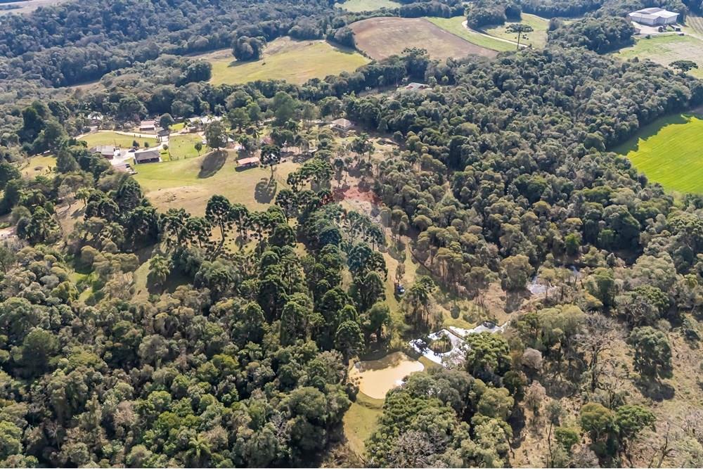 Chácara / Sítio / Fazenda - Venda - Campo Largo , Paraná - F (19).jpg - 560351150-1