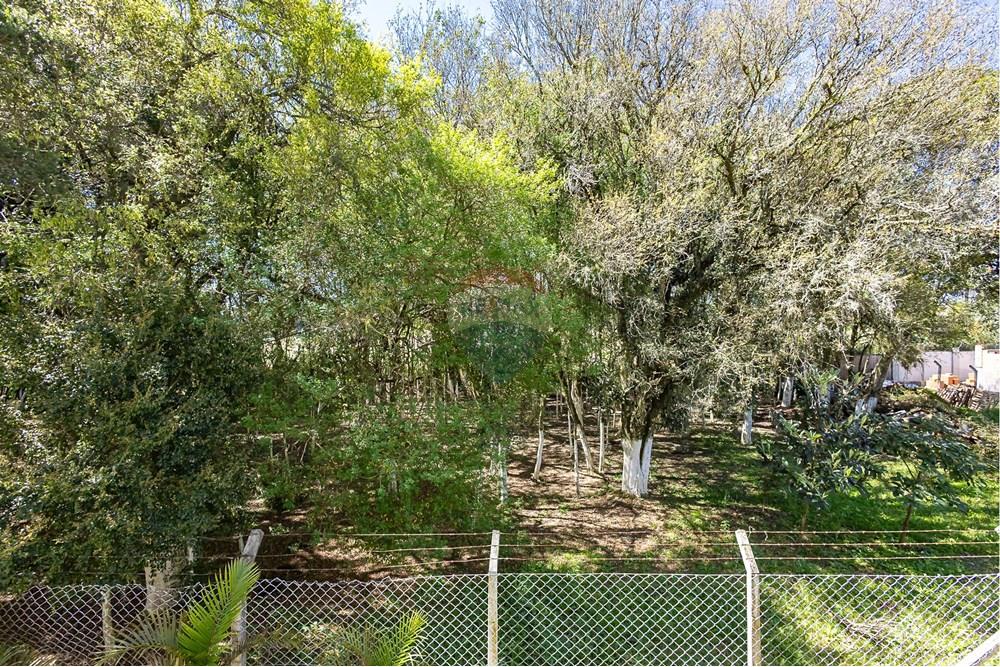 Apartamento - Venda - Araucária , Paraná - IMG_3454.jpg - 560491001-12