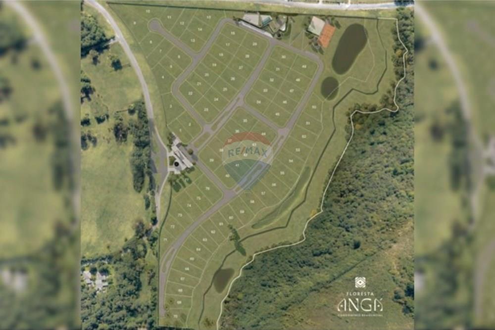 Terreno - Venda - Pinhais , Paraná - 5.jpg - 560511007-5