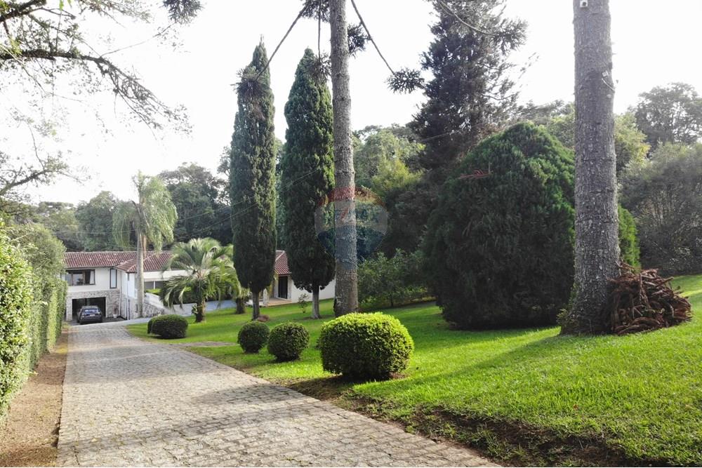 Terreno - Venda - Curitiba , Paraná - DJI_0905.JPG - 560351012-133