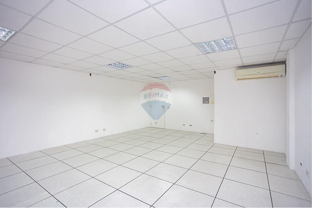 Turunduslik - Äripind - Curitiba , Paraná - BR - _MG_2283.jpg - 560351125-43